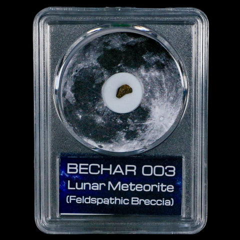 Moon Rock Lunar Meteorite Bechar 003 Algerian Sahara Desert Discovered 2022 COA - Fossil Age Minerals