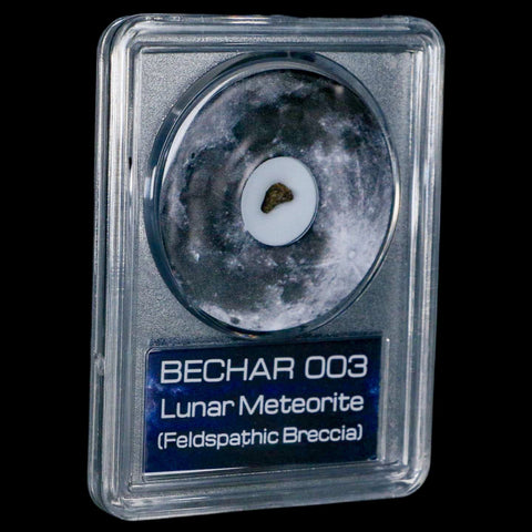 Moon Rock Lunar Meteorite Bechar 003 Algerian Sahara Desert Discovered 2022 COA - Fossil Age Minerals