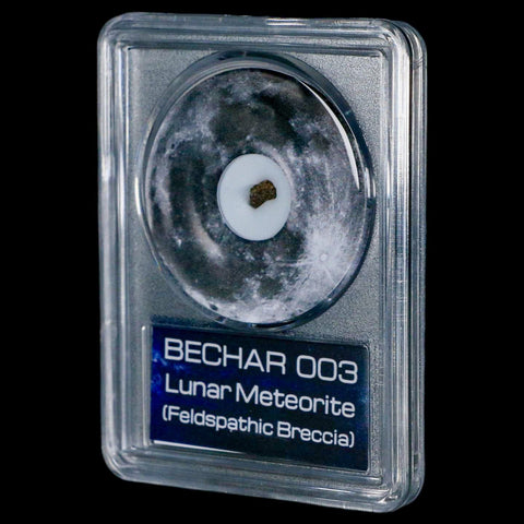 Moon Rock Lunar Meteorite Bechar 003 Algerian Sahara Desert Discovered 2022 COA - Fossil Age Minerals