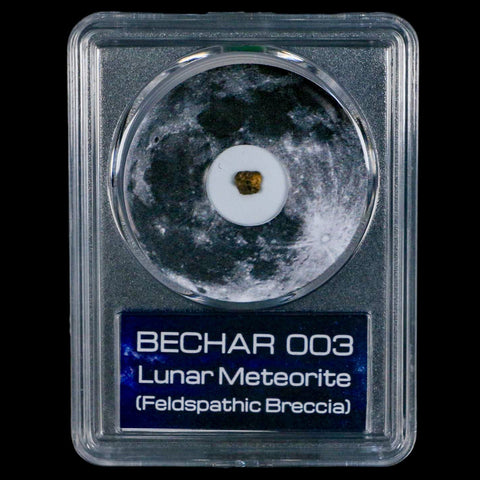 Moon Rock Lunar Meteorite Bechar 003 Algerian Sahara Desert Discovered 2022 COA - Fossil Age Minerals