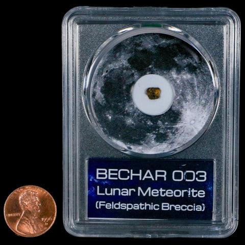 Moon Rock Lunar Meteorite Bechar 003 Algerian Sahara Desert Discovered 2022 COA - Fossil Age Minerals