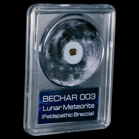 Moon Rock Lunar Meteorite Bechar 003 Algerian Sahara Desert Discovered 2022 COA - Fossil Age Minerals