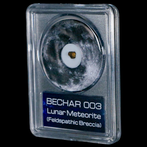 Moon Rock Lunar Meteorite Bechar 003 Algerian Sahara Desert Discovered 2022 COA - Fossil Age Minerals