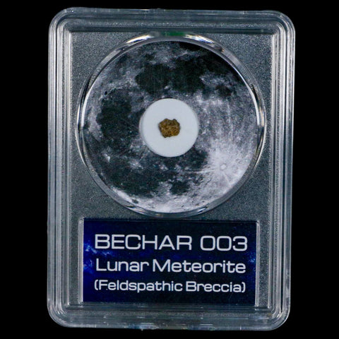 Moon Rock Lunar Meteorite Bechar 003 Algerian Sahara Desert Discovered 2022 COA - Fossil Age Minerals