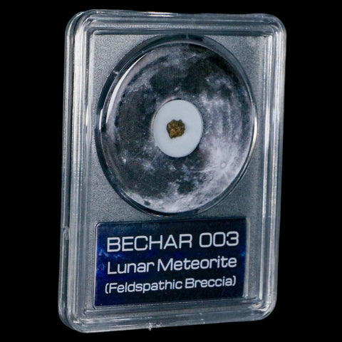 Moon Rock Lunar Meteorite Bechar 003 Algerian Sahara Desert Discovered 2022 COA - Fossil Age Minerals