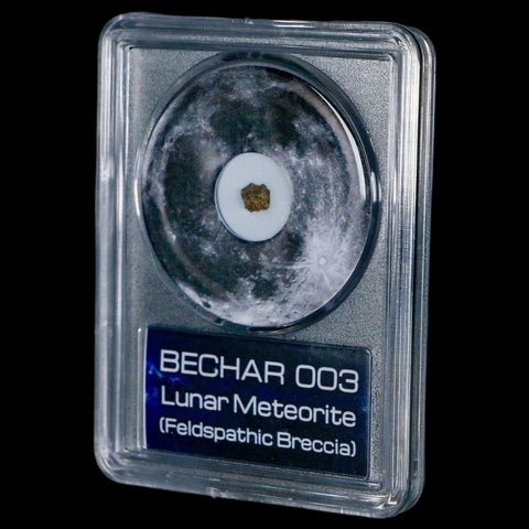 Moon Rock Lunar Meteorite Bechar 003 Algerian Sahara Desert Discovered 2022 COA - Fossil Age Minerals