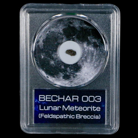 Moon Rock Lunar Meteorite Bechar 003 Algerian Sahara Desert Discovered 2022 COA - Fossil Age Minerals