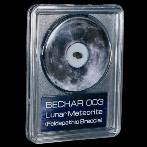 Moon Rock Lunar Meteorite Bechar 003 Algerian Sahara Desert Discovered 2022 COA - Fossil Age Minerals