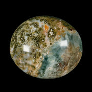 2.6" Natural Polished Ocean Jasper Crystal Palm Stone Location Madagascar Healing