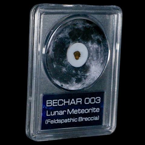 Moon Rock Lunar Meteorite Bechar 003 Algerian Sahara Desert Discovered 2022 COA - Fossil Age Minerals