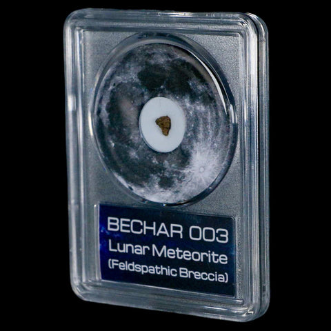 Moon Rock Lunar Meteorite Bechar 003 Algerian Sahara Desert Discovered 2022 COA - Fossil Age Minerals