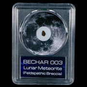 Moon Rock Lunar Meteorite Bechar 003 Algerian Sahara Desert Discovered 2022 COA