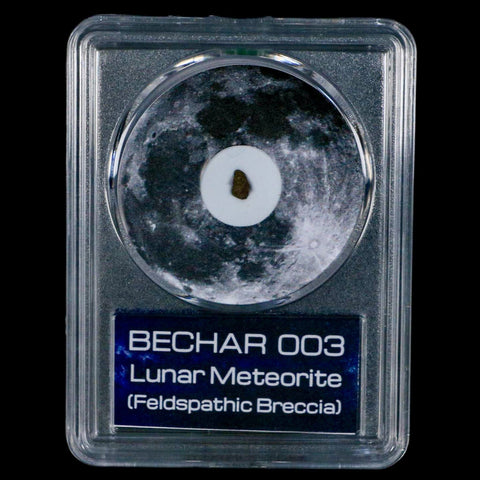 Moon Rock Lunar Meteorite Bechar 003 Algerian Sahara Desert Discovered 2022 COA - Fossil Age Minerals