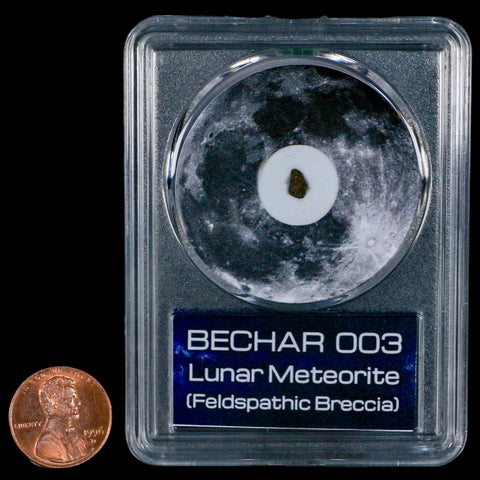 Moon Rock Lunar Meteorite Bechar 003 Algerian Sahara Desert Discovered 2022 COA - Fossil Age Minerals