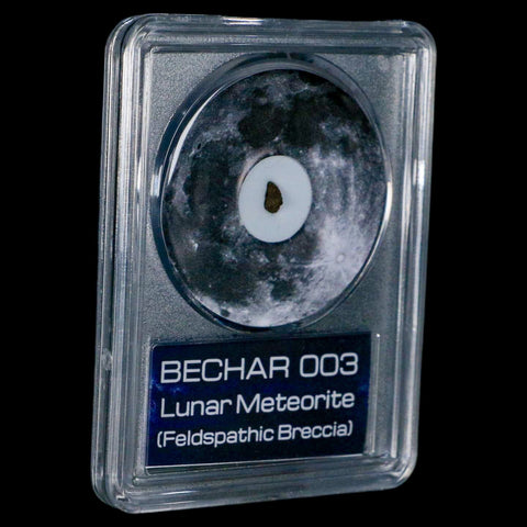 Moon Rock Lunar Meteorite Bechar 003 Algerian Sahara Desert Discovered 2022 COA - Fossil Age Minerals