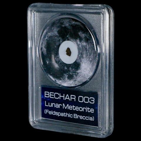 Moon Rock Lunar Meteorite Bechar 003 Algerian Sahara Desert Discovered 2022 COA - Fossil Age Minerals