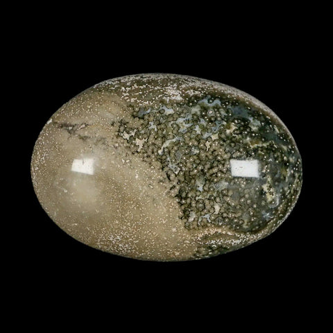 2.8" Natural Polished Ocean Jasper Crystal Palm Stone Location Madagascar Healing - Fossil Age Minerals