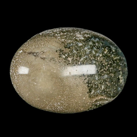 2.8" Natural Polished Ocean Jasper Crystal Palm Stone Location Madagascar Healing - Fossil Age Minerals