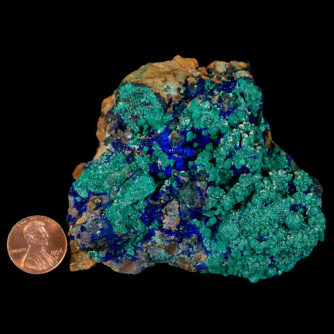 3.2" Azurite Crystals & Malachite On Matrix Colorful Mineral Specimen Morocco - Fossil Age Minerals