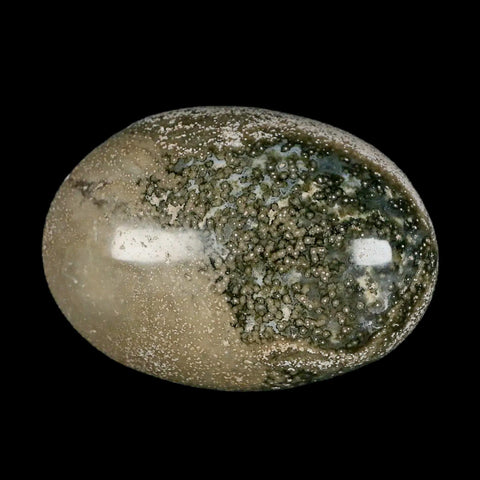 2.8" Natural Polished Ocean Jasper Crystal Palm Stone Location Madagascar Healing - Fossil Age Minerals