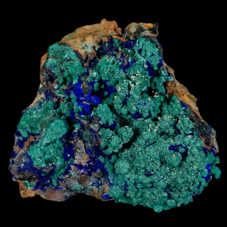 3.2" Azurite Crystals & Malachite On Matrix Colorful Mineral Specimen Morocco