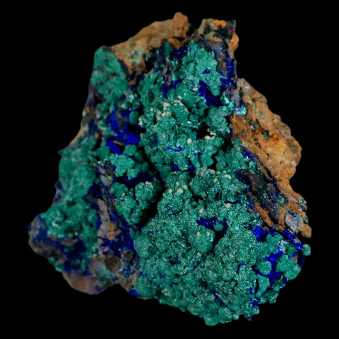 3.2" Azurite Crystals & Malachite On Matrix Colorful Mineral Specimen Morocco - Fossil Age Minerals