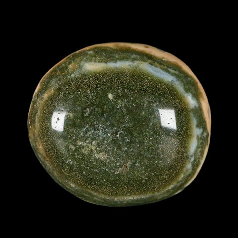 2.4" Natural Polished Ocean Jasper Crystal Palm Stone Location Madagascar Healing - Fossil Age Minerals