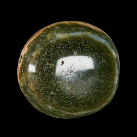 2.4" Natural Polished Ocean Jasper Crystal Palm Stone Location Madagascar Healing - Fossil Age Minerals