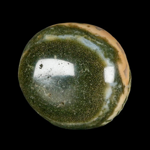 2.4" Natural Polished Ocean Jasper Crystal Palm Stone Location Madagascar Healing - Fossil Age Minerals