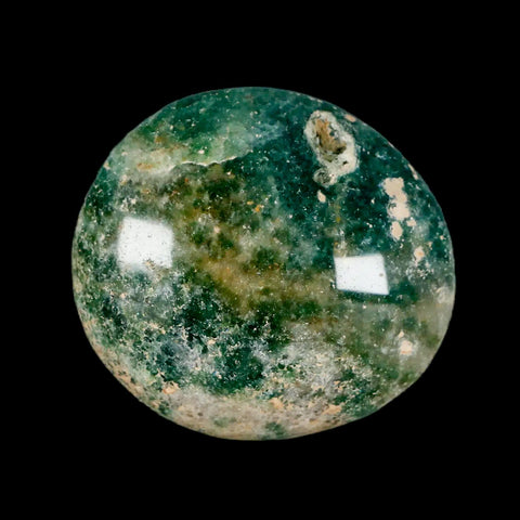 2.1" Natural Polished Ocean Jasper Crystal Palm Stone Location Madagascar Healing - Fossil Age Minerals