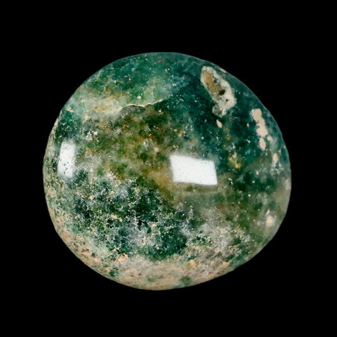 2.1" Natural Polished Ocean Jasper Crystal Palm Stone Location Madagascar Healing - Fossil Age Minerals