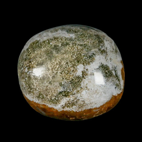 2" Natural Polished Ocean Jasper Crystal Palm Stone Location Madagascar Healing - Fossil Age Minerals