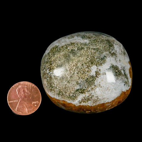 2" Natural Polished Ocean Jasper Crystal Palm Stone Location Madagascar Healing - Fossil Age Minerals