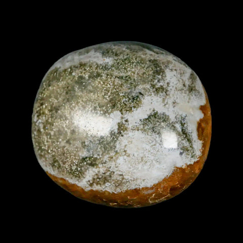 2" Natural Polished Ocean Jasper Crystal Palm Stone Location Madagascar Healing - Fossil Age Minerals