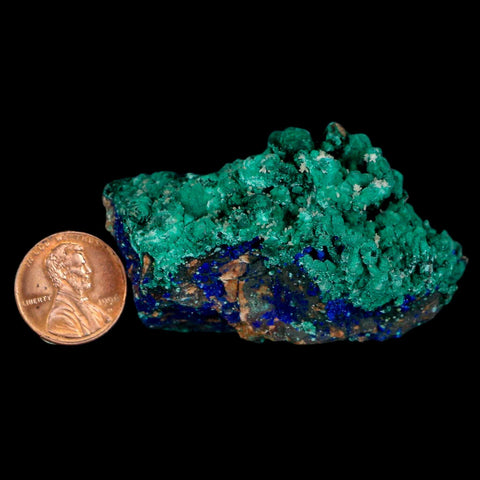 2.3" Azurite Crystals & Malachite On Matrix Colorful Mineral Specimen Morocco - Fossil Age Minerals