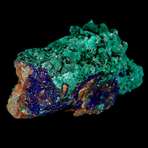 2.3" Azurite Crystals & Malachite On Matrix Colorful Mineral Specimen Morocco - Fossil Age Minerals