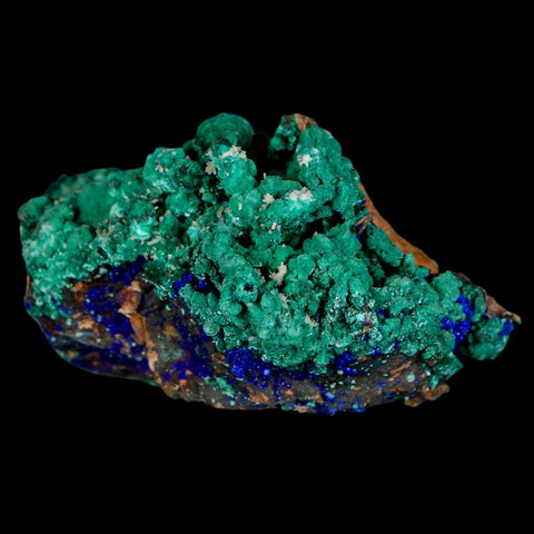 2.3" Azurite Crystals & Malachite On Matrix Colorful Mineral Specimen Morocco - Fossil Age Minerals