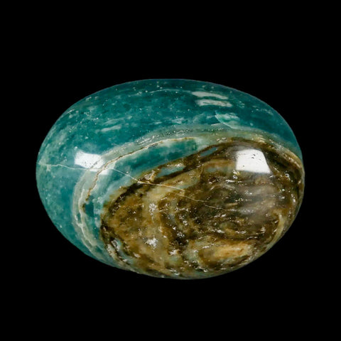 2.3" Natural Polished Ocean Jasper Crystal Palm Stone Location Madagascar Healing - Fossil Age Minerals