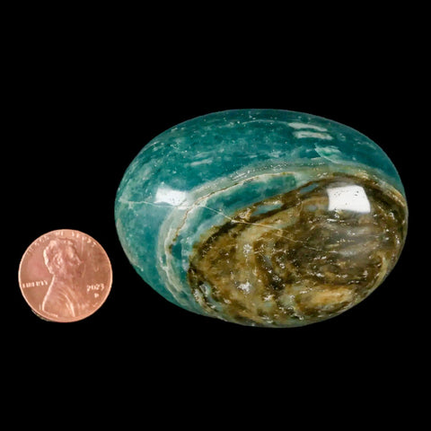 2.3" Natural Polished Ocean Jasper Crystal Palm Stone Location Madagascar Healing - Fossil Age Minerals