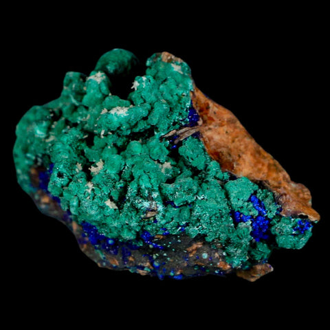 2.3" Azurite Crystals & Malachite On Matrix Colorful Mineral Specimen Morocco - Fossil Age Minerals