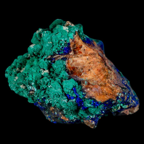 2.3" Azurite Crystals & Malachite On Matrix Colorful Mineral Specimen Morocco - Fossil Age Minerals