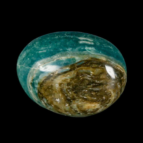 2.3" Natural Polished Ocean Jasper Crystal Palm Stone Location Madagascar Healing - Fossil Age Minerals