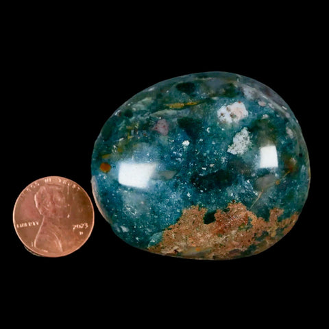 2" Natural Polished Ocean Jasper Crystal Palm Stone Location Madagascar Healing - Fossil Age Minerals