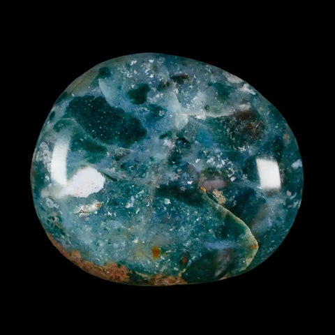 2" Natural Polished Ocean Jasper Crystal Palm Stone Location Madagascar Healing - Fossil Age Minerals