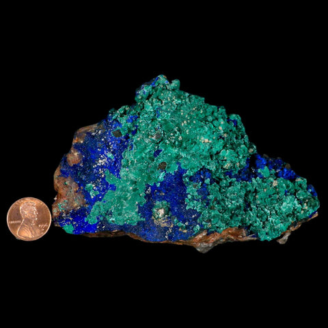 4.5" Azurite Crystals & Malachite On Barite Matrix Colorful Mineral Specimen Morocco - Fossil Age Minerals