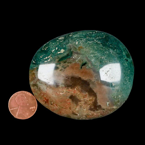 2.7" Natural Polished Ocean Jasper Crystal Palm Stone Location Madagascar Healing - Fossil Age Minerals