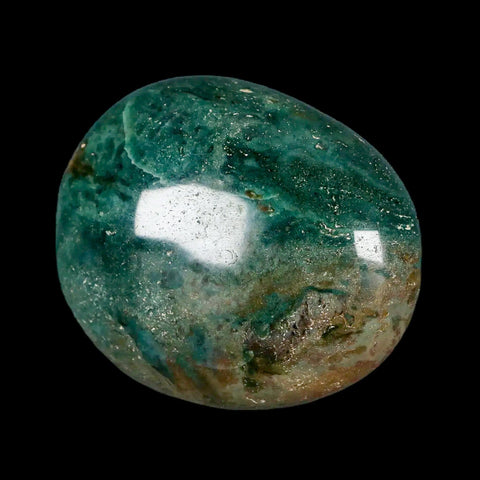 2.7" Natural Polished Ocean Jasper Crystal Palm Stone Location Madagascar Healing - Fossil Age Minerals