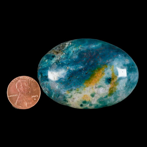 2.2" Natural Polished Ocean Jasper Crystal Palm Stone Location Madagascar Healing - Fossil Age Minerals