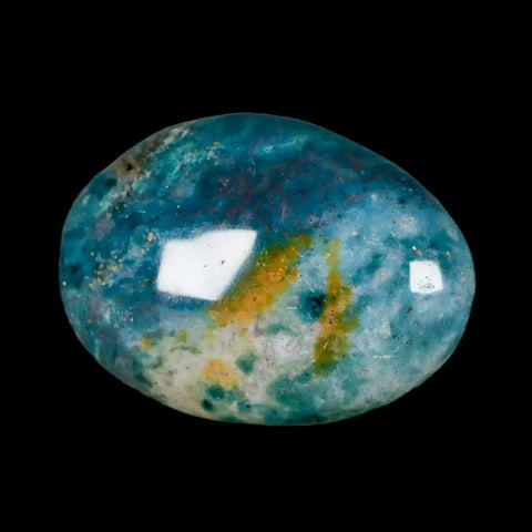 2.2" Natural Polished Ocean Jasper Crystal Palm Stone Location Madagascar Healing - Fossil Age Minerals