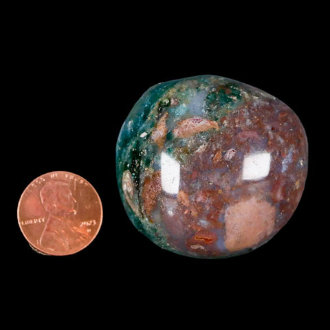 1.6" Natural Polished Ocean Jasper Crystal Palm Stone Location Madagascar Healing - Fossil Age Minerals